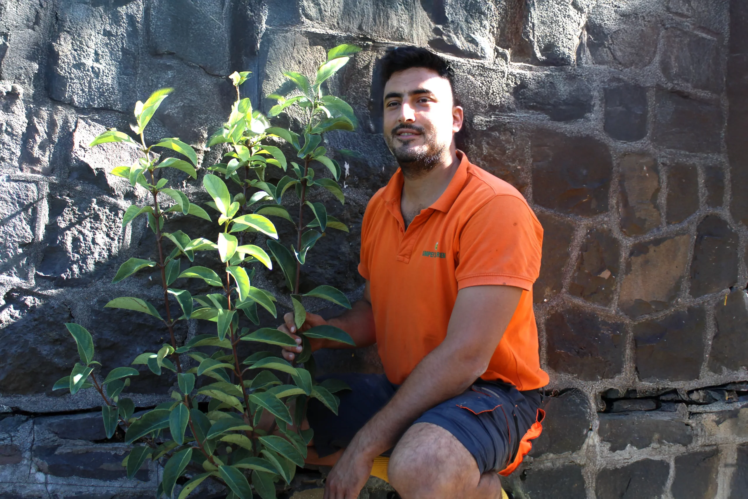 Mario con la Viburnum Lucidum