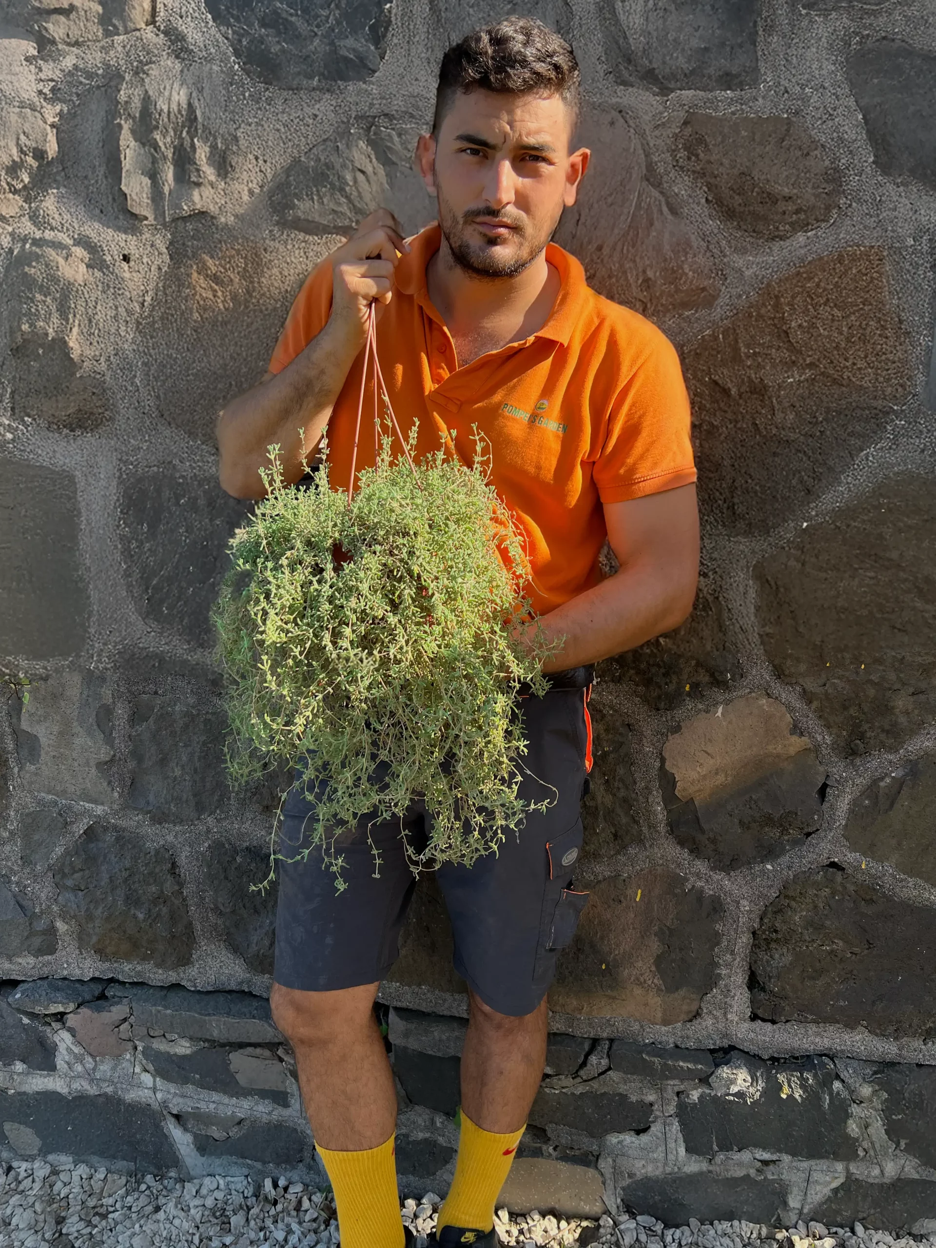 Barba-di-Giove con Mario