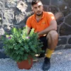 Mario con la Polygala Myrtifolia