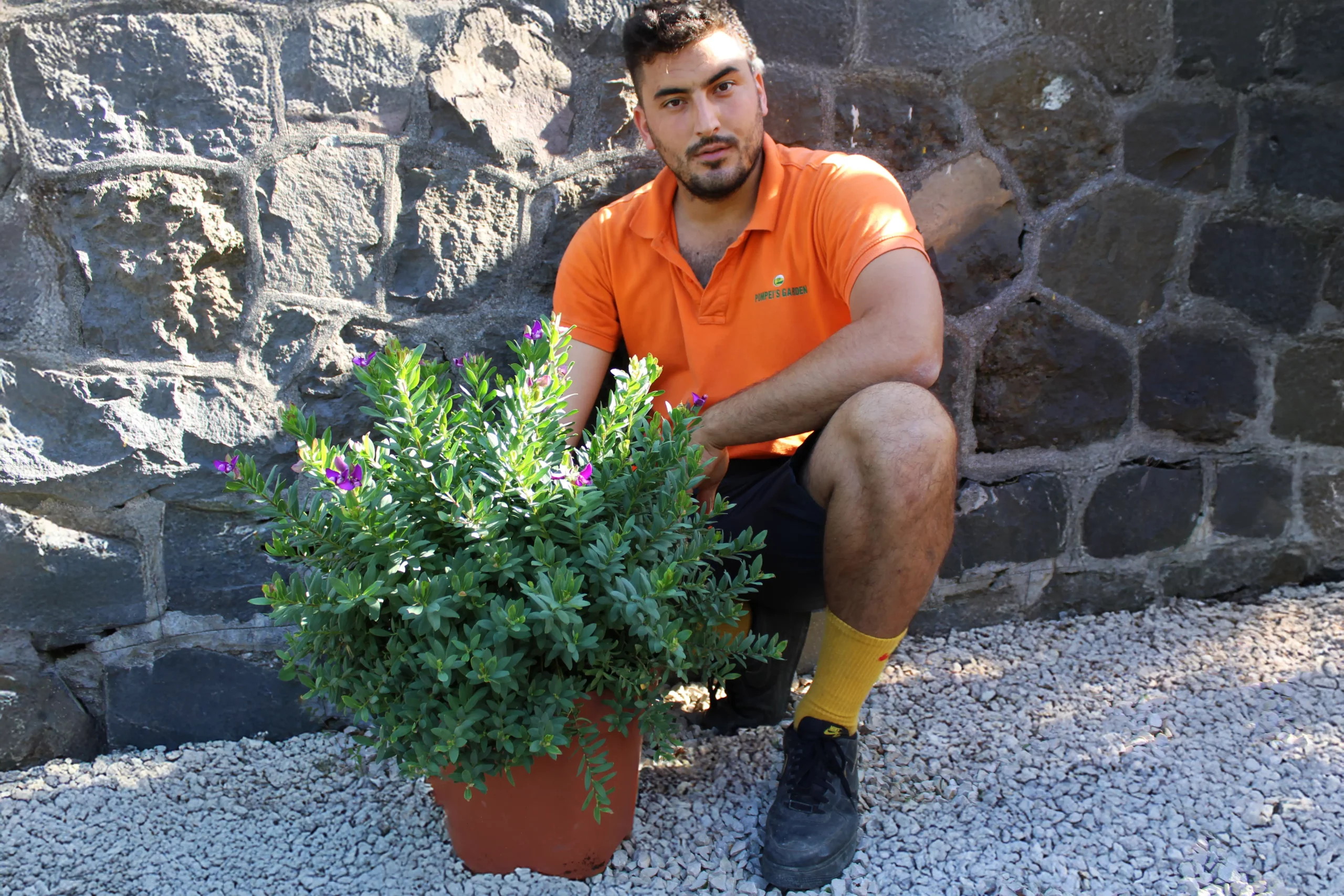 Mario con la Polygala Myrtifolia