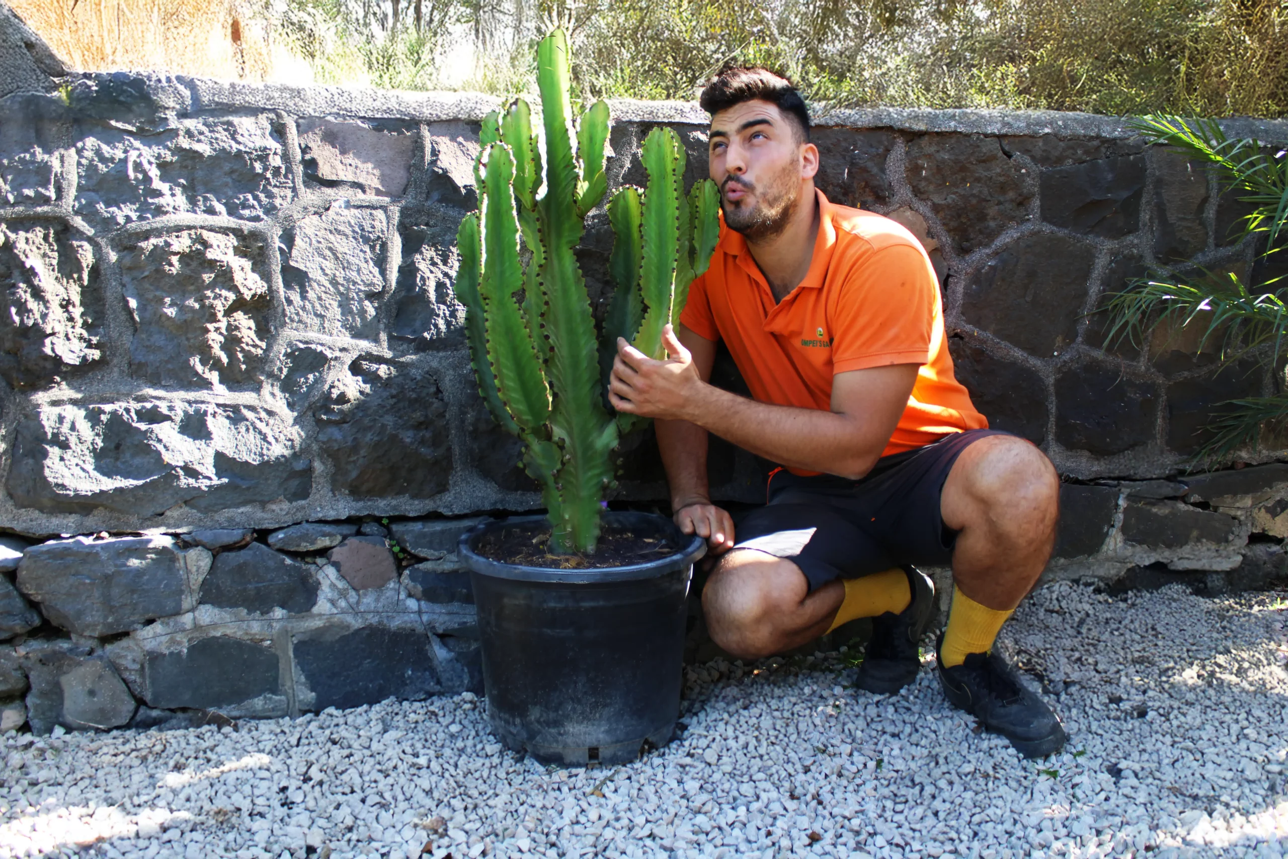 Mario con euphorbia_ingens